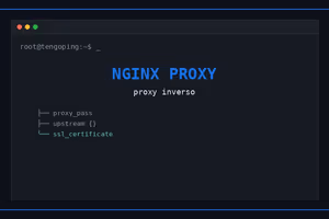 Proxy inverso con Nginx: guía práctica